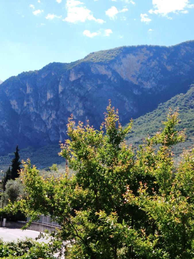 Apartamento Casa Akira Riva del Garda Exterior foto